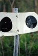 Train Sign